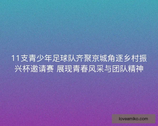 11支青少年足球队齐聚京城角逐乡村振兴杯邀请赛 展现青春风采与团队精神