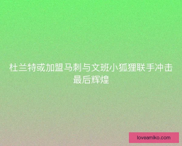 杜兰特或加盟马刺与文班小狐狸联手冲击最后辉煌