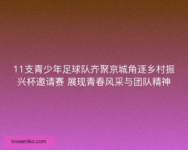 11支青少年足球队齐聚京城角逐乡村振兴杯邀请赛 展现青春风采与团队精神