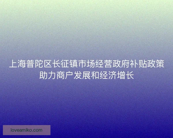 上海普陀区长征镇市场经营政府补贴政策助力商户发展和经济增长